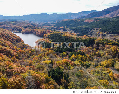 Scenery of Choro Lake after the rain Drone photography Autumn leaves Shichikashuku Town, Miyagi Prefecture 71533553