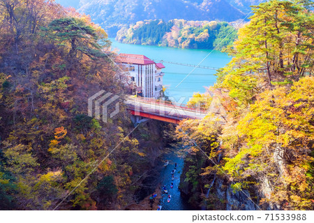 秋色的秋葉河和秋葉湖 秋色的秋葉河和秋葉湖 71533988