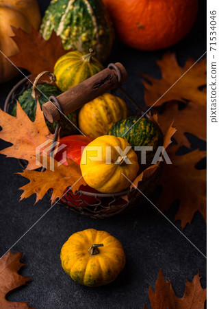 Various decorative pumpkins. Autumn concept Various decorative pumpkins. Autumn concept 71534046