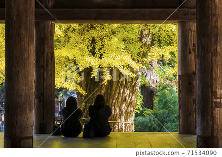 新宮熊野神社長子大銀子和一名婦女福島縣喜多方市 新宮熊野神社長子大銀子和一名婦女福島縣喜多方市 71534090