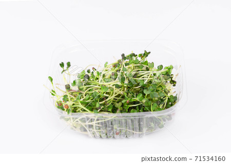 Microgreens bowl on white marble background. superfood concept 71534160
