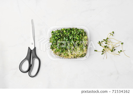 Microgreens bowl on white marble background. superfood concept 71534162