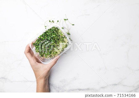 Microgreens bowl on white marble background. superfood concept 71534166