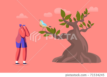 Female Ornithologist with Binoculars Watching Bird on Tree, Birdwatching Hobby, Outdoor Activity, Explore Nature. 71534245