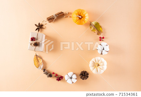 Thanksgiving background decoration from dry leaves and pumpkin on pastel background. Flat lay, top view with copy space. Thanksgiving background decoration from dry leaves and pumpkin on pastel background. Flat lay, top view with copy space. 71534361