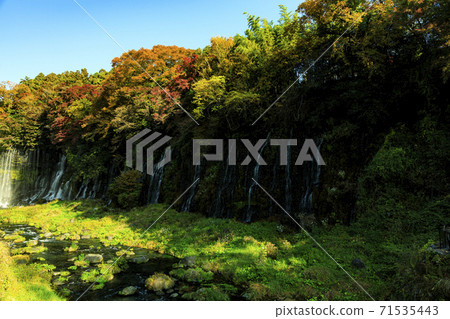 Autumn leaves of Shiraito Falls in Fujinomiya City where you can see Mt. Fuji 71535443