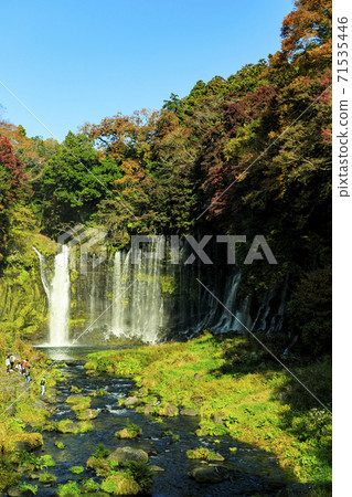 白藤的秋葉落在富士山市，在那裡您可以看到富士山 71535446