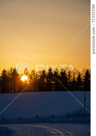 Pine forest and sunset on the hills at dusk in winter Pine forest and sunset on the hills at dusk in winter 71535599