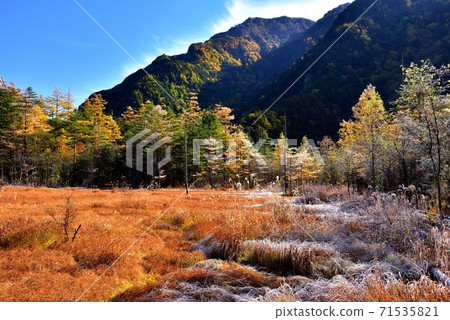 Autumn leaves of Kamikochi 71535821