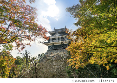 西尾城（暖色） 71536475