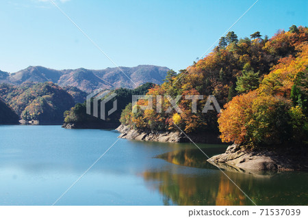日比木水壩的秋天 71537039