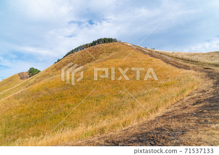 前往龜山的山路 前往龜山的山路 71537133
