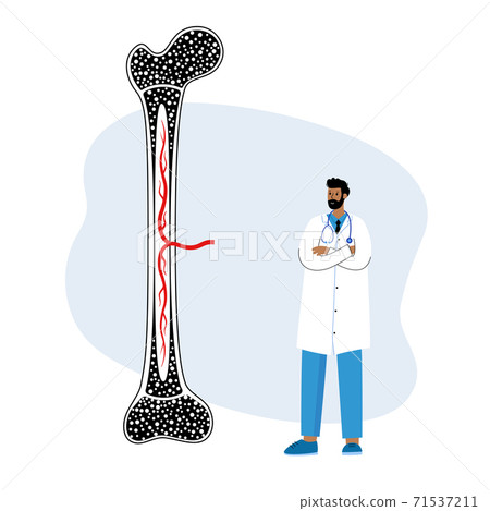 Bones template concept Bones template concept 71537211