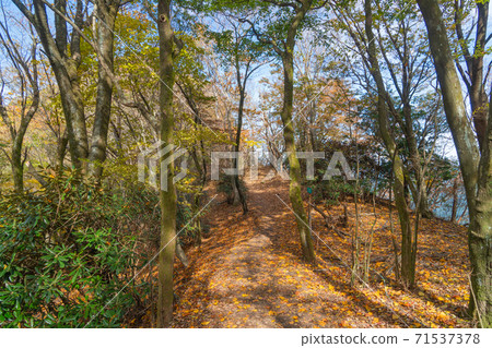 從Nihonboso到Kuruson山(Soji Kogen)的山路 從Nihonboso到Kuruson山(Soji Kogen)的山路 71537378