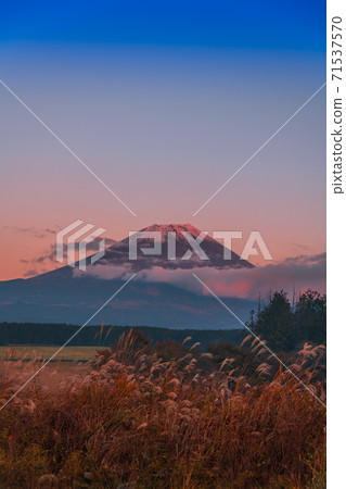 [Susuki from Asagiri Plateau and Mt. Akafuji] 71537570