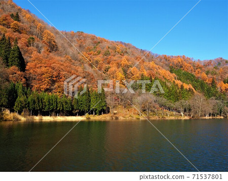Nakatsuna湖秋葉 Nakatsuna湖秋葉 71537801