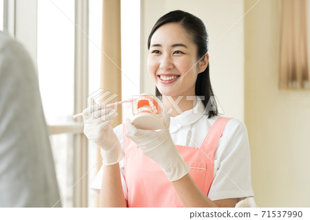 A woman teaching brushing teeth 71537990