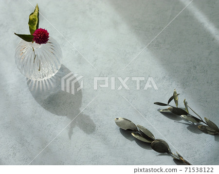 Dried flowers and glass vases Dried flowers and glass vases 71538122