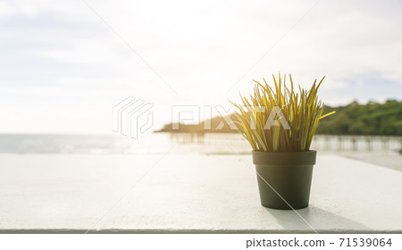 Wooden white table with plant on blurred beach background. 71539064