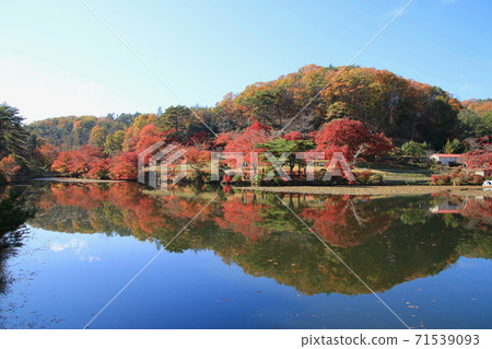 Momiji,秋天蛇鼻子戲劇天堂(福島縣,本宮市) Momiji,秋天蛇鼻子戲劇天堂(福島縣,本宮市) 71539093