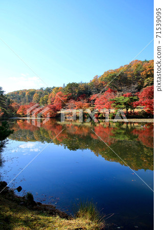 Momiji,秋天蛇鼻子戲劇天堂(福島縣,本宮市) Momiji,秋天蛇鼻子戲劇天堂(福島縣,本宮市) 71539095