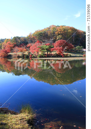 Momiji,秋天蛇鼻子戲劇天堂(福島縣,本宮市) Momiji,秋天蛇鼻子戲劇天堂(福島縣,本宮市) 71539096