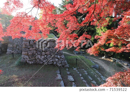 奈良縣高取城堡的秋葉 71539522
