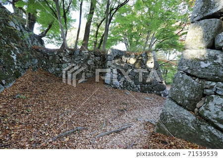 Autumn leaves of Takatori Castle, Nara Prefecture Autumn leaves of Takatori Castle, Nara Prefecture 71539539