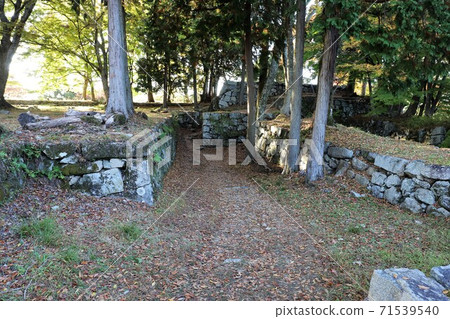 Autumn leaves of Takatori Castle, Nara Prefecture Autumn leaves of Takatori Castle, Nara Prefecture 71539540