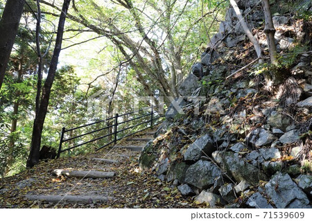 奈良縣高取城堡的秋葉 71539609