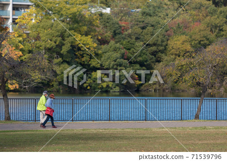 A senior couple taking a walk in the autumn park 71539796