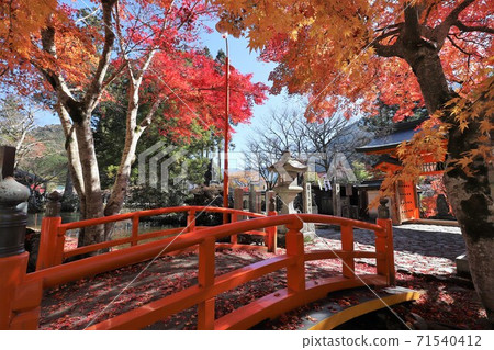 Autumn leaves of Tenkawa village Lonzanji 71540412