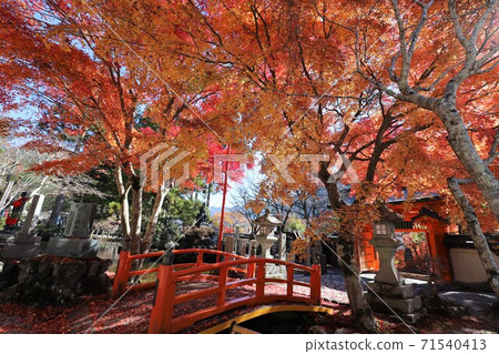 Autumn leaves of Tenkawa village Lonzanji 71540413