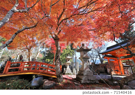 Tenkawa村莊Lonzanji秋葉 Tenkawa村莊Lonzanji秋葉 71540416