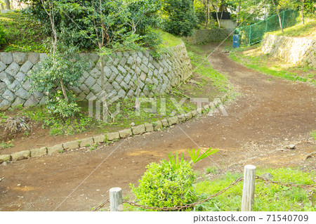 世田谷城公園 世田谷城公園 71540709