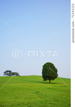 奧林匹克公園 奧林匹克公園 71541153