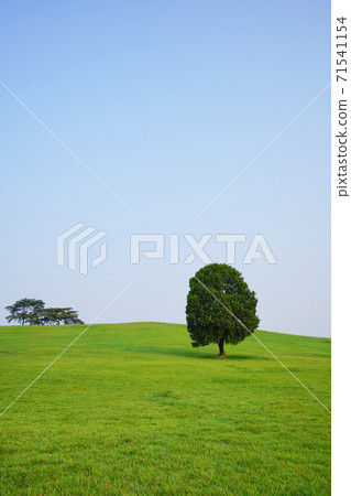 奧林匹克公園 71541154