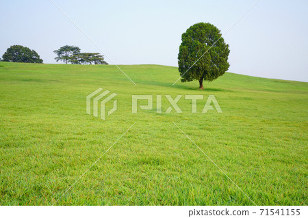 Olympic Park Olympic Park 71541155