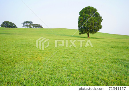 Olympic Park 71541157