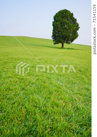 Olympic Park 71541159