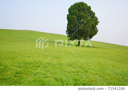 奧林匹克公園 奧林匹克公園 71541160