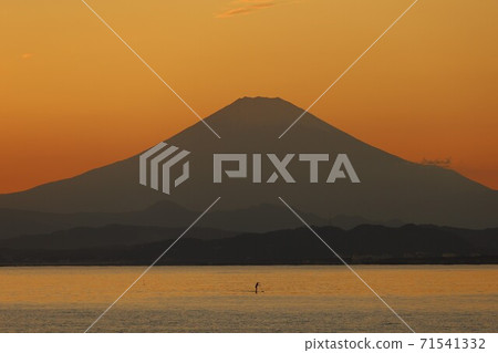 Mt. Fuji and stand-up paddle surfer facing from the Shonan sea in the evening 71541332