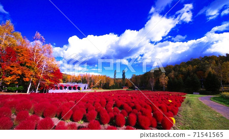 Takino Suzuran's bright red Kokia 71541565