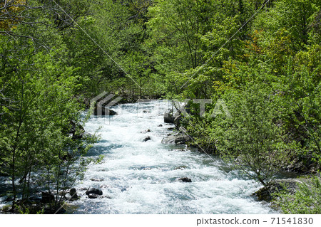 一條充滿生命力的河流被融化的雪水淹沒 71541830