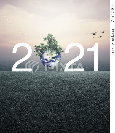 Happy new year 2021 ecological cover, Save the earth concept, Elements of this image furnished by NASA 71542105