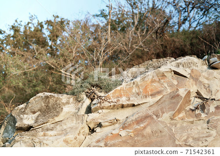 Desert landscape rocky mountains 71542361
