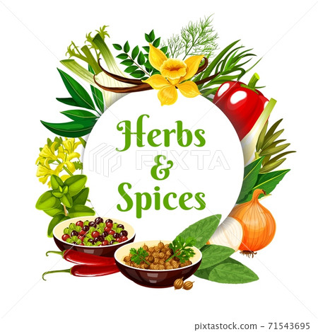 Herbs and spices vector round frame cartoon banner 71543695