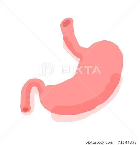 Human stomach; Hand drawn vector illustration like woodblock print Human stomach; Hand drawn vector illustration like woodblock print 71544355