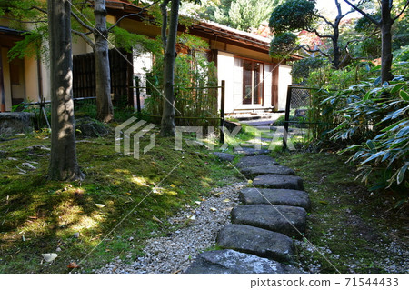 Narukusan in Autumn 71544433