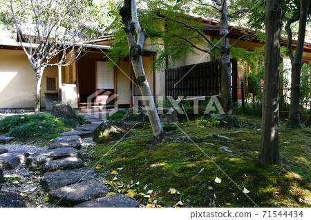 Narukusan in Autumn 71544434